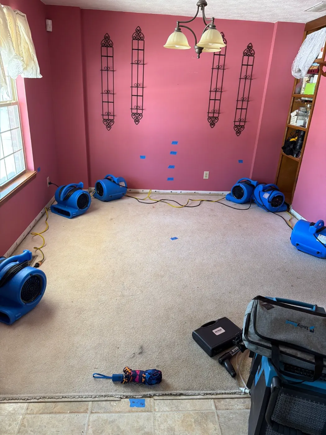Bathroom Water Damage in Glendale: Toilet & Shower Leaks